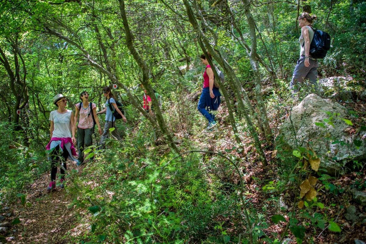 Hiking Menalon & Lousios gorge 2