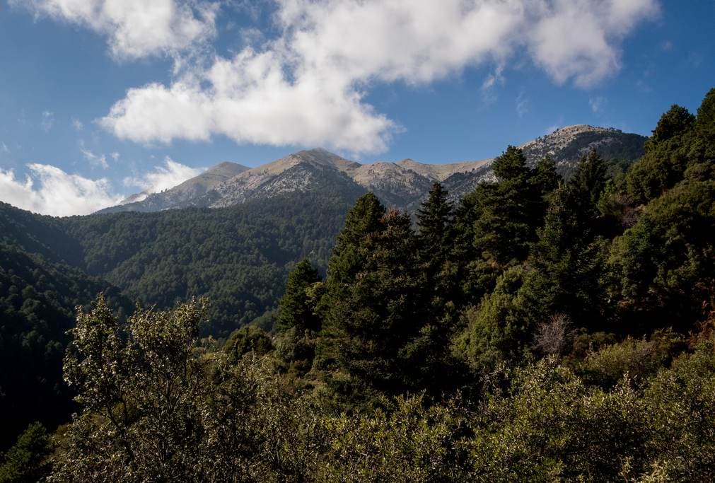 Hiking Taygetos 0022