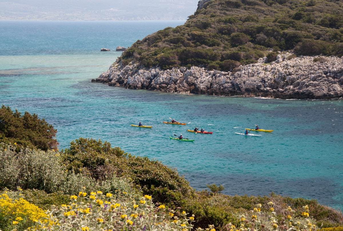 Aerial view of several colorful kayaks in a sheltered turquoise bay with green hills in the foreground.