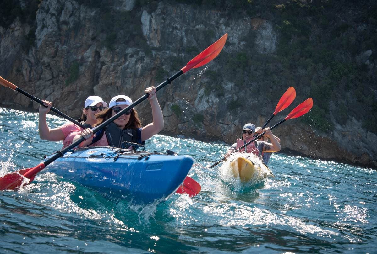 A group of travelers paddling their sea kayaks in the open waters of Navarino Bay.