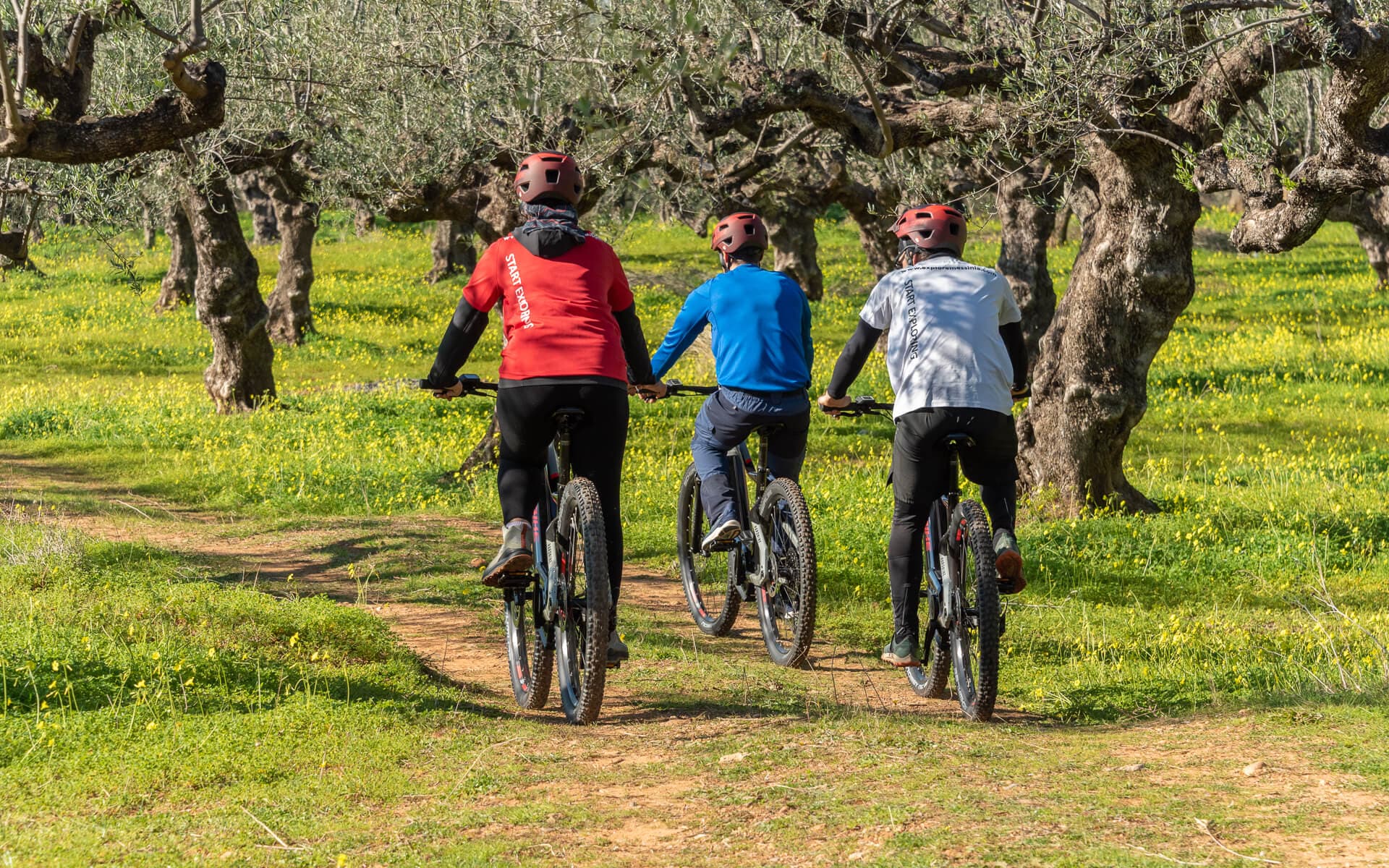 A guided E-bike tour in Greece cycling through an ancient olive grove in Kalamata.