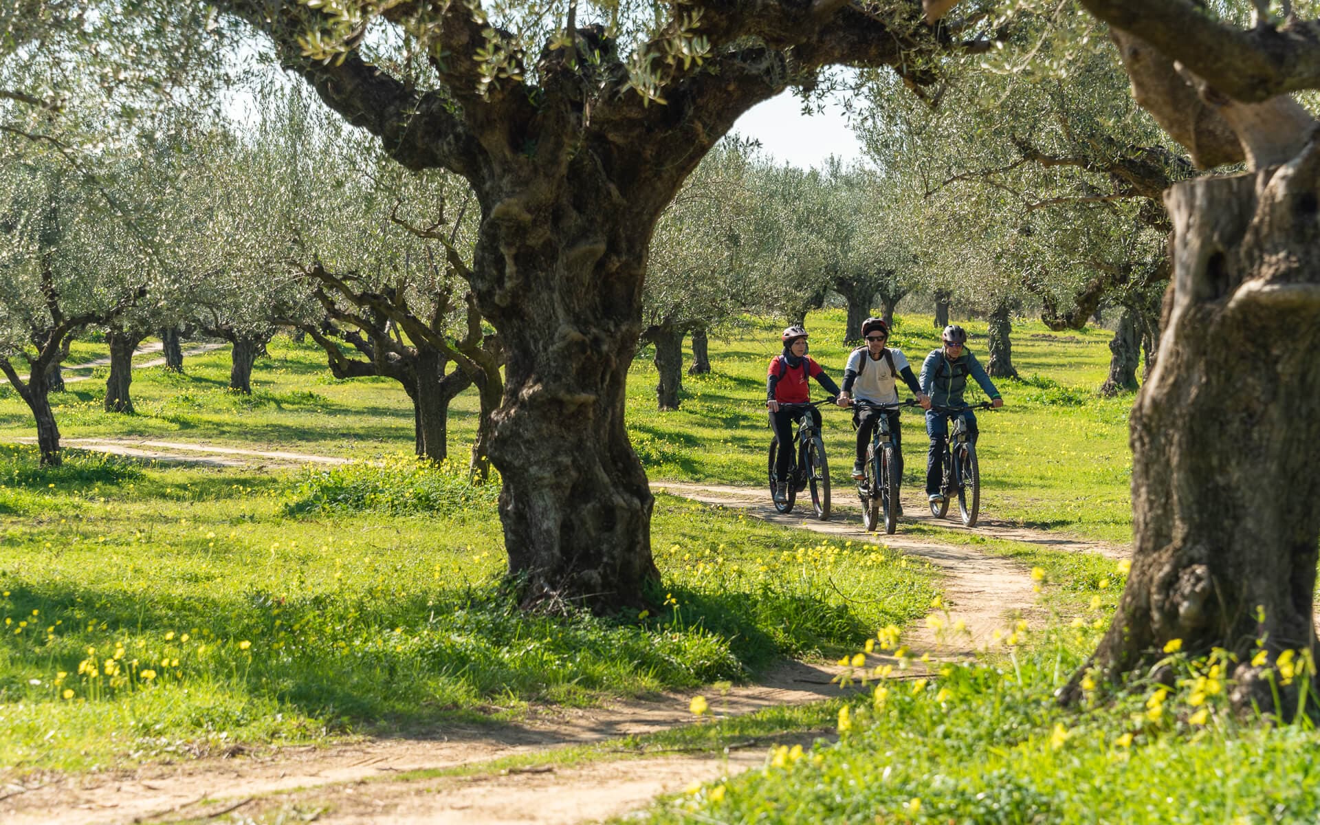 E bike Kalamata 87896