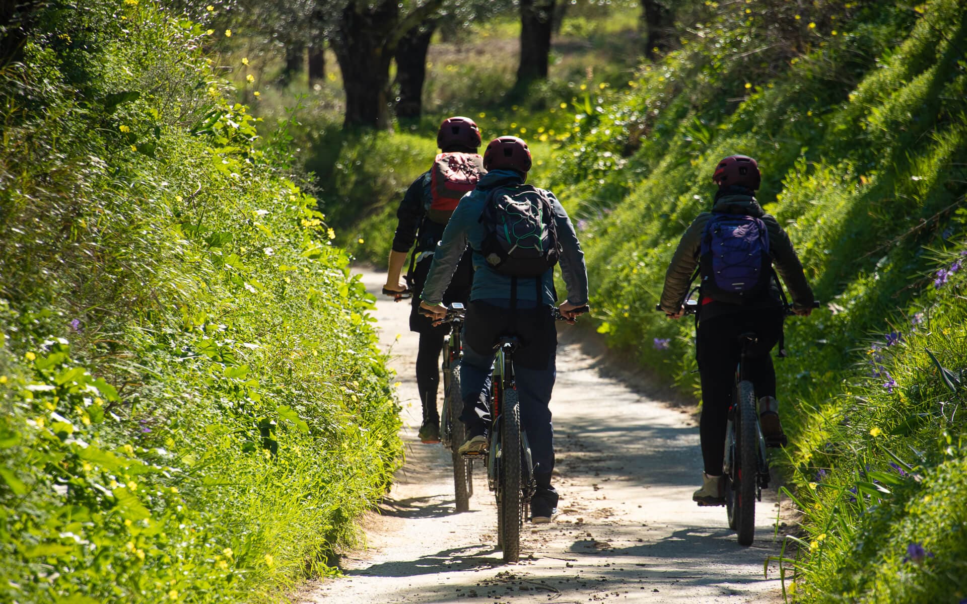E bike Kalamata 87945