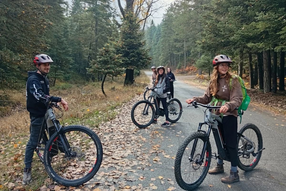 menalon forest ebike tour hero