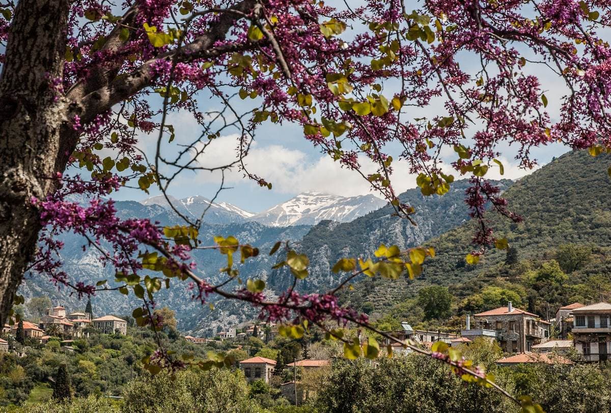 Hiking Kardamyli 2128