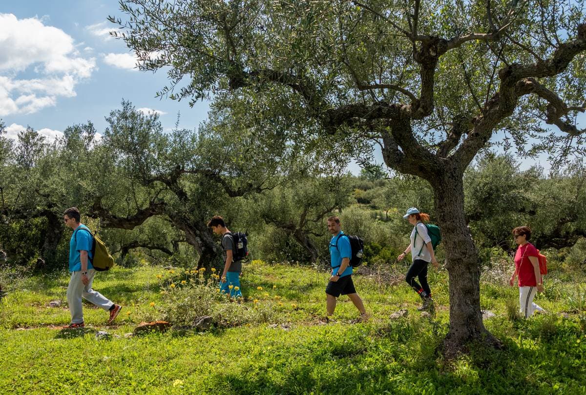 Hiking Kardamyli 3085