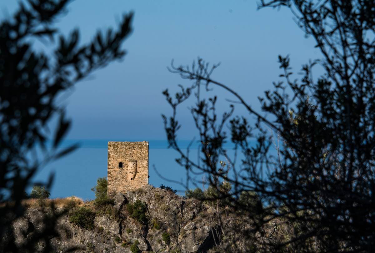 Hiking Kardamyli 7615