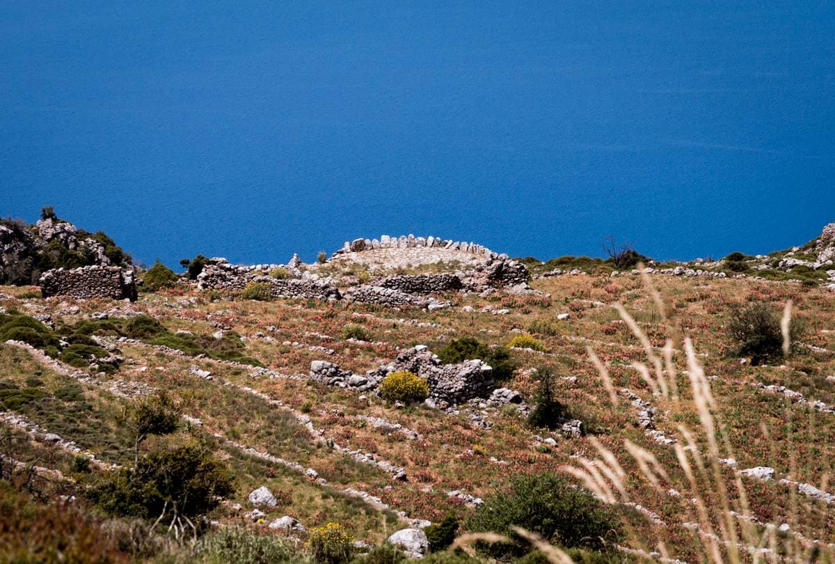 Hiking over Kalamata 0263