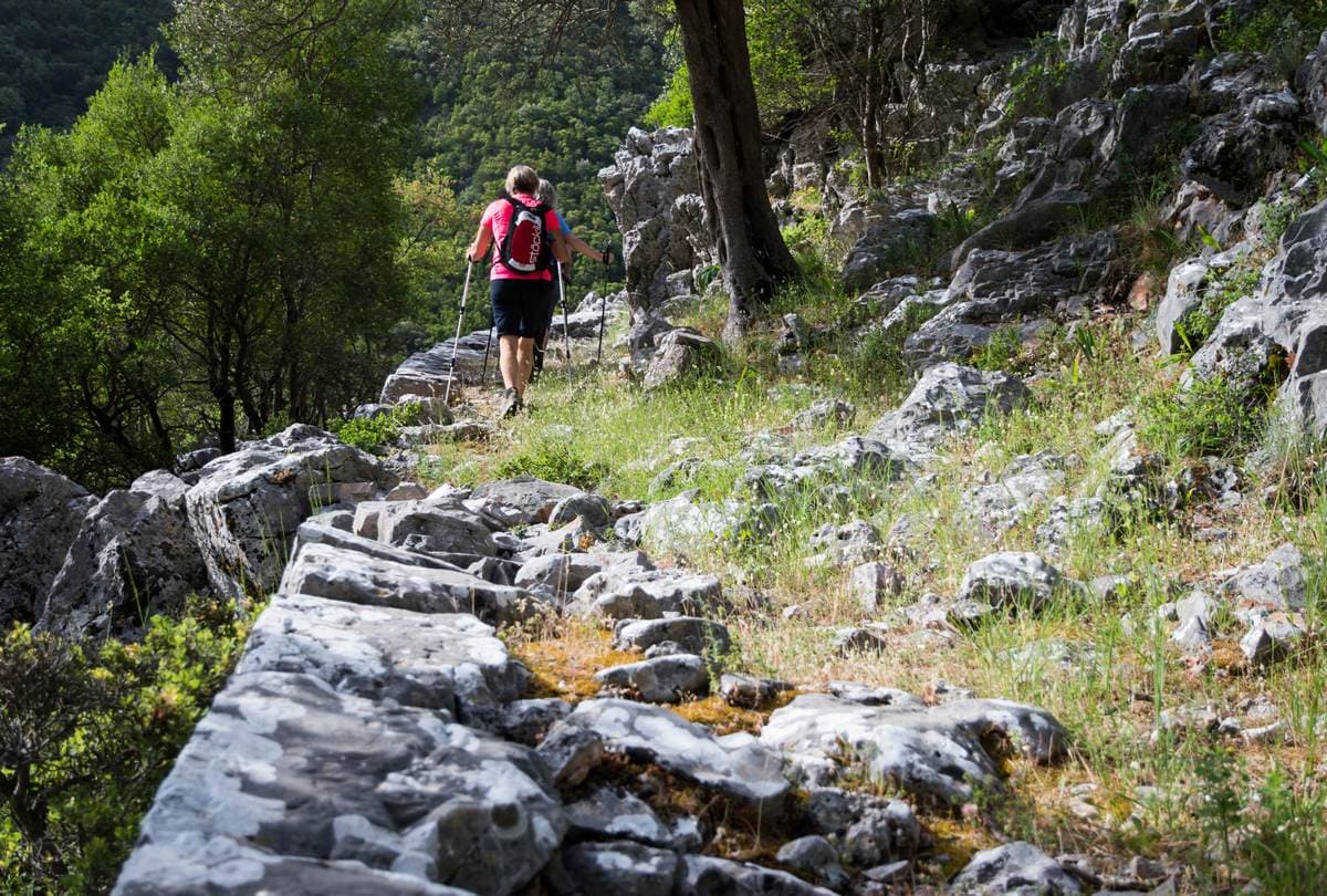 Hiking over Kalamata 0353