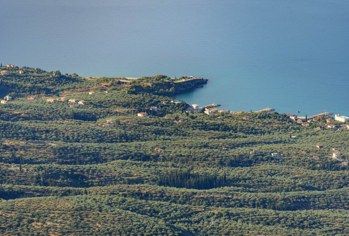 Hiking over Kalamata 9171