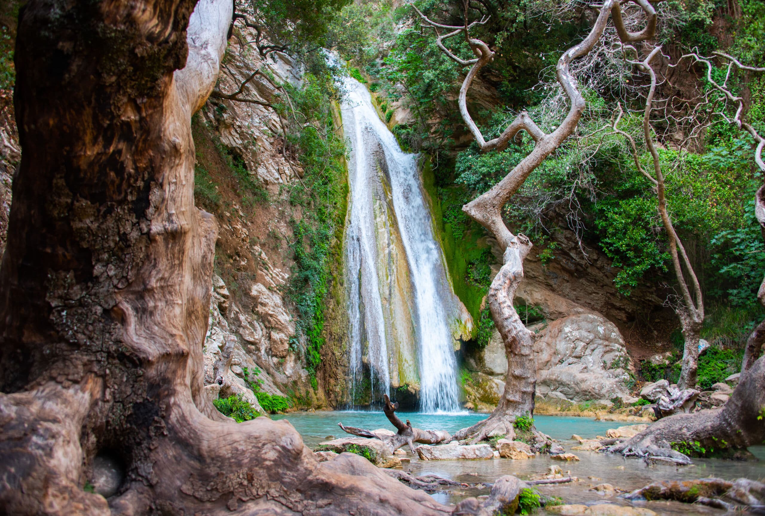 Neda waterfall cascading into a turquoise pool surrounded by gnarled trees and lush greenery