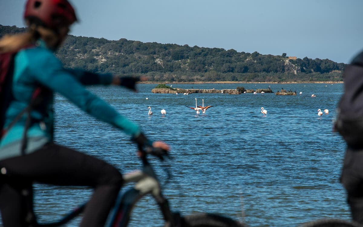 Explore Messinia e Bike Navarino 88651