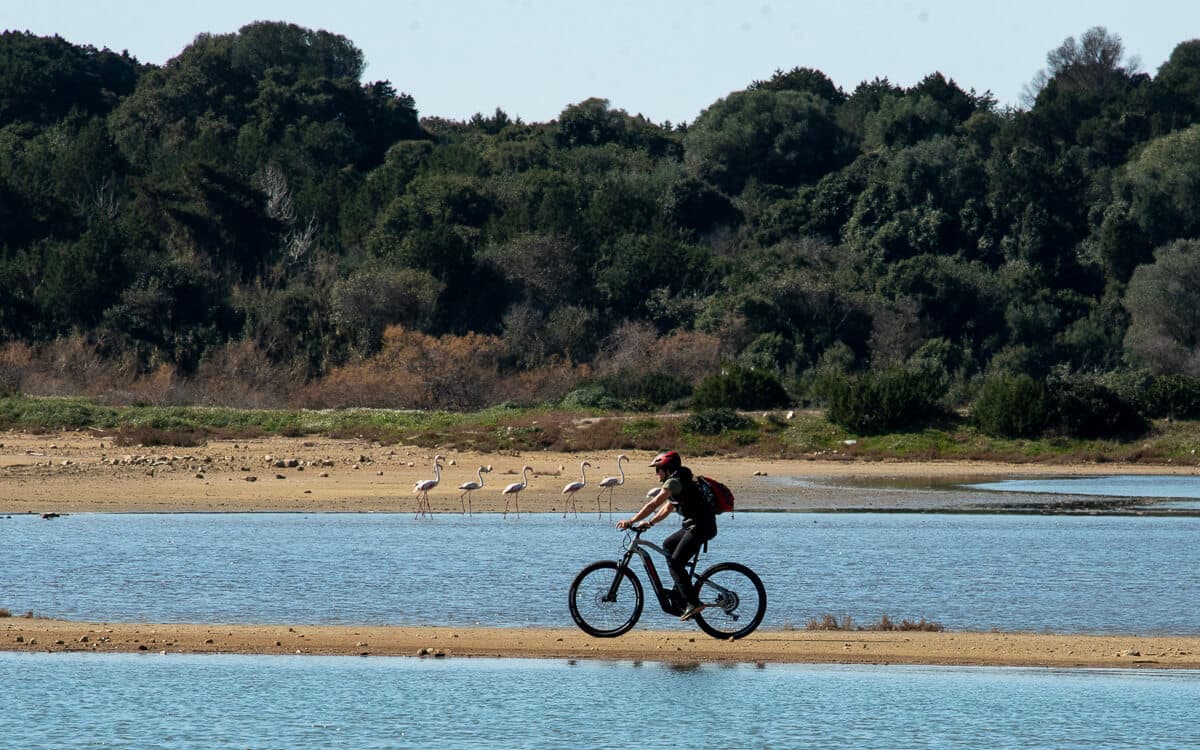 Explore Messinia e Bike Navarino 88671