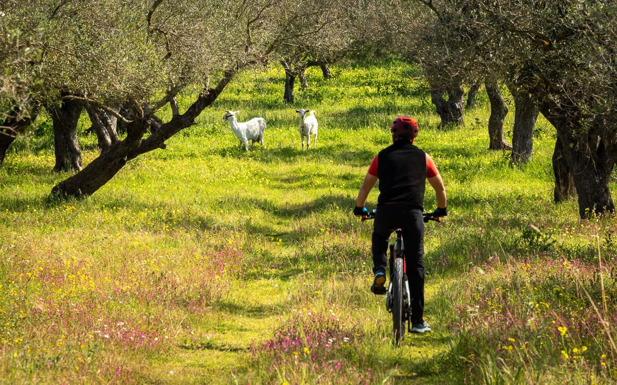 Explore Messinia e Bike Navarino 88721
