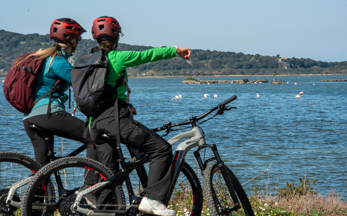 Two cyclists birdwatching at Gialova Lagoon during a Navarino Bay E-Bike Tour
