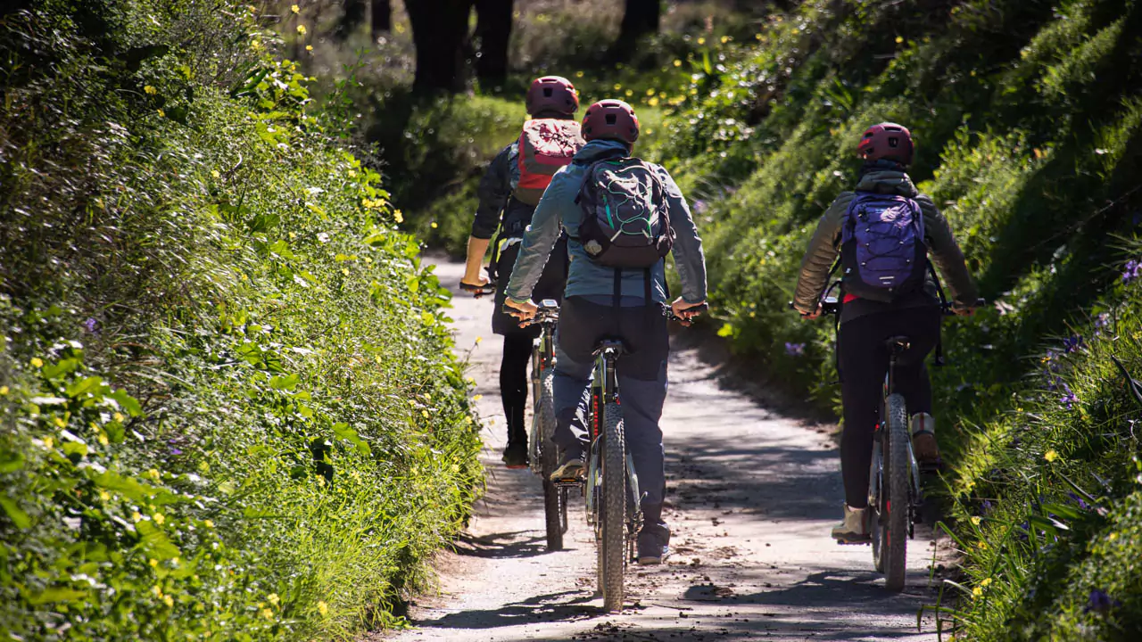 Explore Messinia-Cycling on e-bikes through small paths and trails around Kalamata