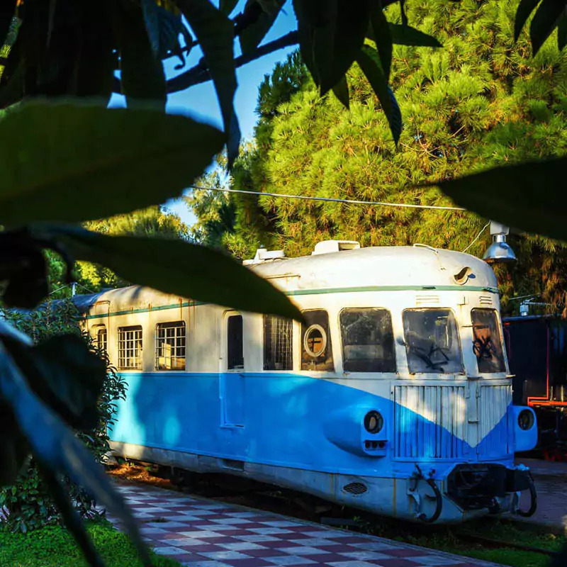 Explore Messinia-The railway park with trees and old trains.