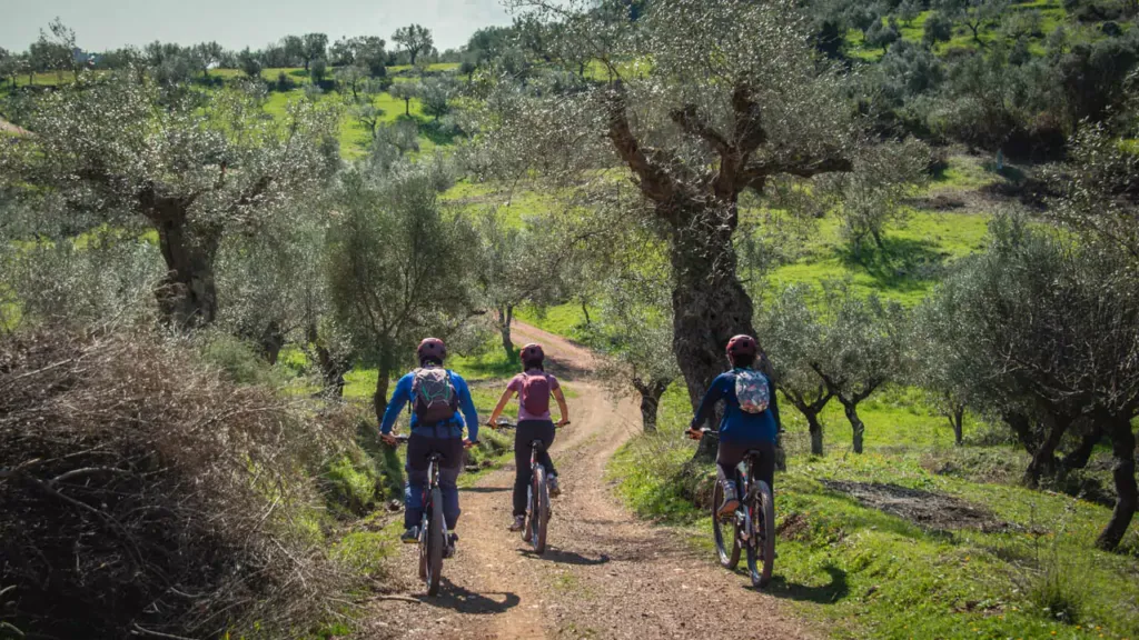 explore messinia three cyclists stroling through olive groves 8200 67c07869de724