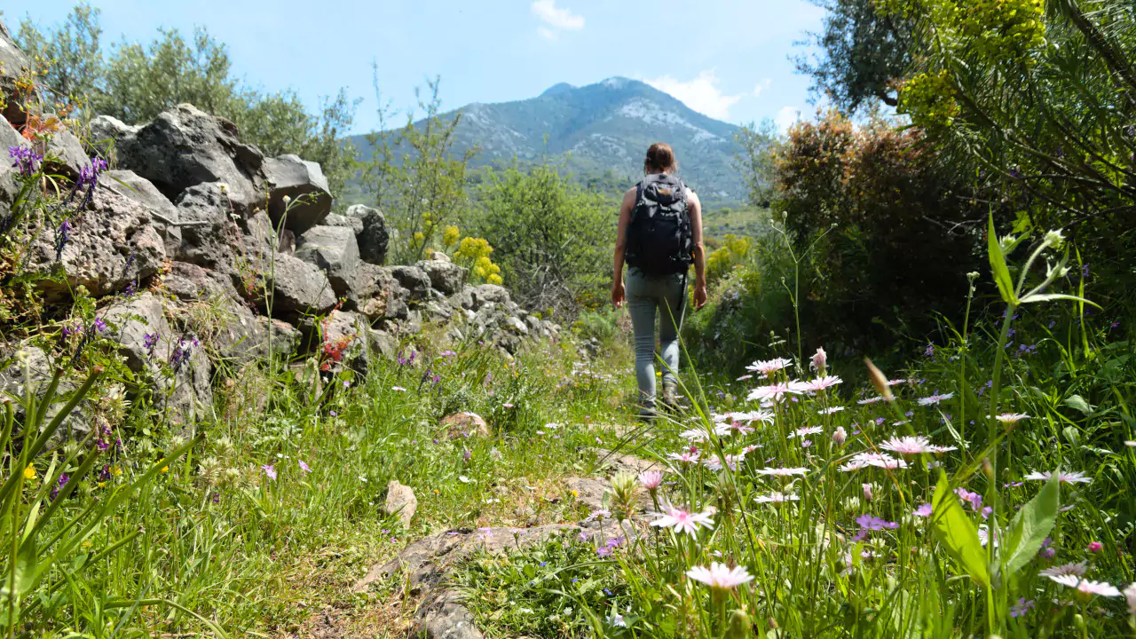 Hiker exploring the Viros Gorge trail in Kardamyli, surrounded by wildflowers and mountain views.