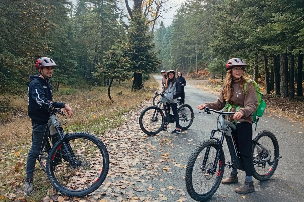 menalon forest ebike tour hero